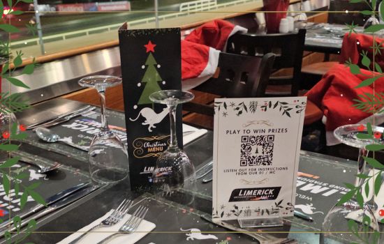 Limerick Greyhound Stadium is the perfect Limerick Christmas Party Venue. Dine in our restaurant with excellent views of the racing action on the track! Limerick Greyhound Stadium is the perfect Limerick Christmas Party Venue. Dine in our restaurant with excellent views of the racing action on the track!