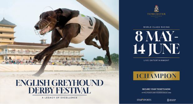 Image show s a greyhound racing and promotional information on the 2025 English Greyhound Derby in Towcester
