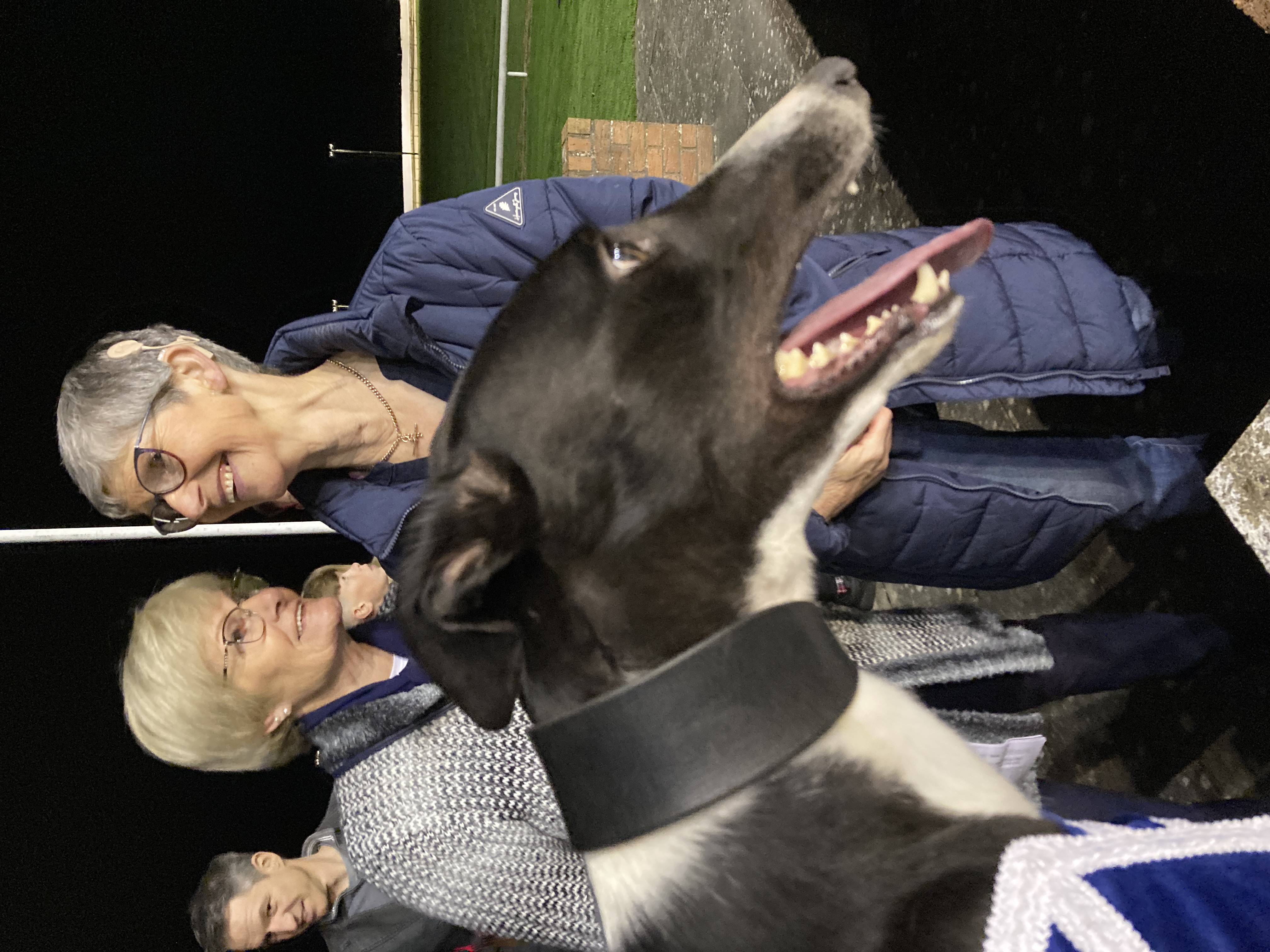 Anne Brennan and Anna Gleeson discussing the victory of Sassy Susie at the winning presentation