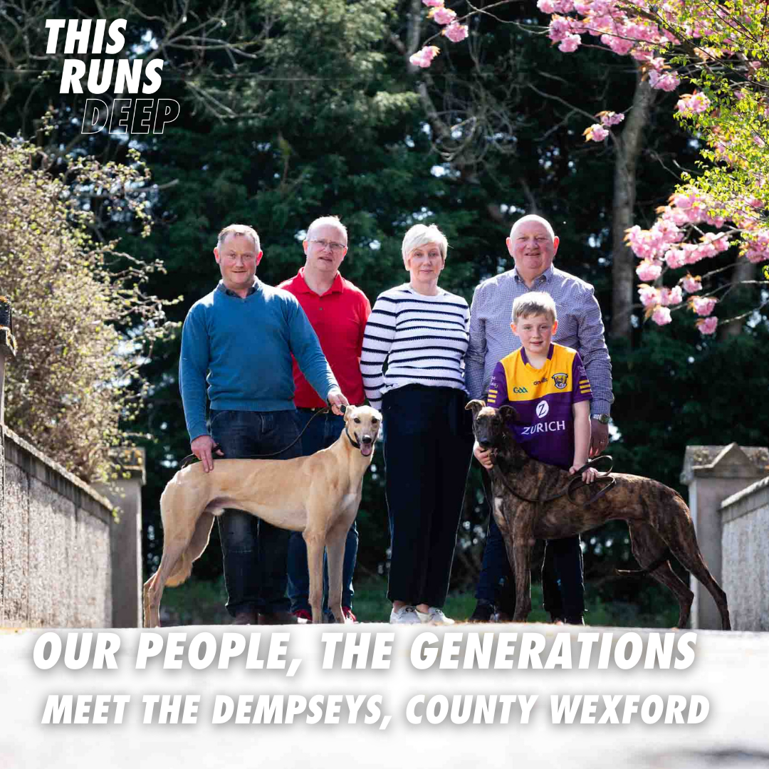 Meet the Dempsey family from Co. Wexford - one of the many generations involved in Irish Greyhound Racing and featured in the Our People, The Generations series from Greyhound Racing Ireland Meet the Dempsey family from Co. Wexford - one of the many generations involved in Irish Greyhound Racing and featured in the Our People, The Generations series from Greyhound Racing Ireland