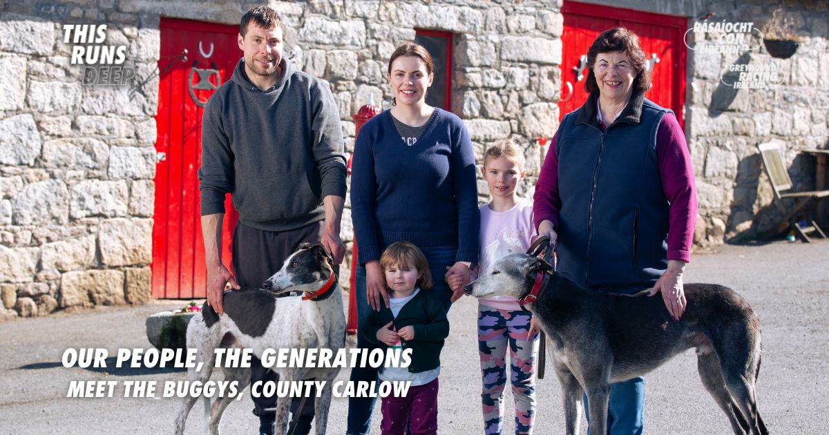 Meet the Buggy family from County Carlow - three generations of greyhound lovers Meet the Buggy family from County Carlow - three generations of greyhound lovers