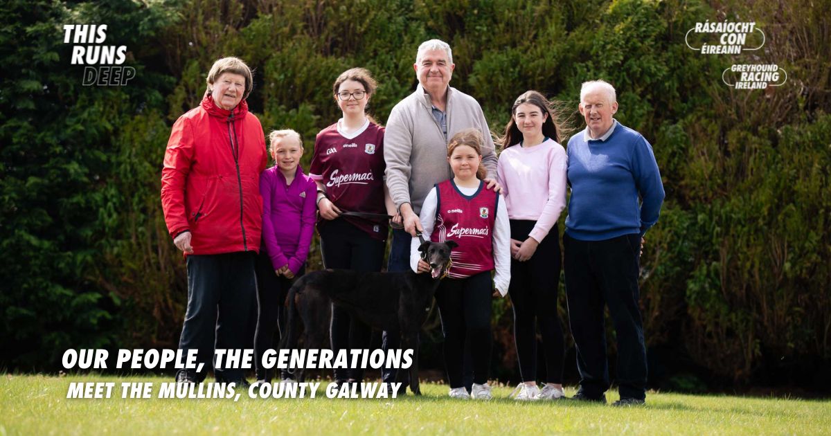 Meet the Mullins from Gort Co. Galway - one of the many generations of Irish families united by their love of greyhounds and greyhound racing Meet the Mullins from Gort Co. Galway - one of the many generations of Irish families united by their love of greyhounds and greyhound racing