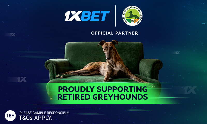 IRGT announces ambassador programme partnership with 1xBet Image shows a greyhound on a couch against a dark background with the 1Xbet and IRGT logos and text to announce their partnership
